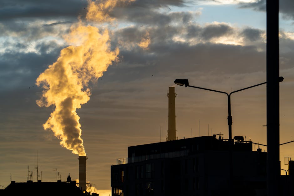 Découvrez la zone basse émission Bruxelles et ses impacts écologiques